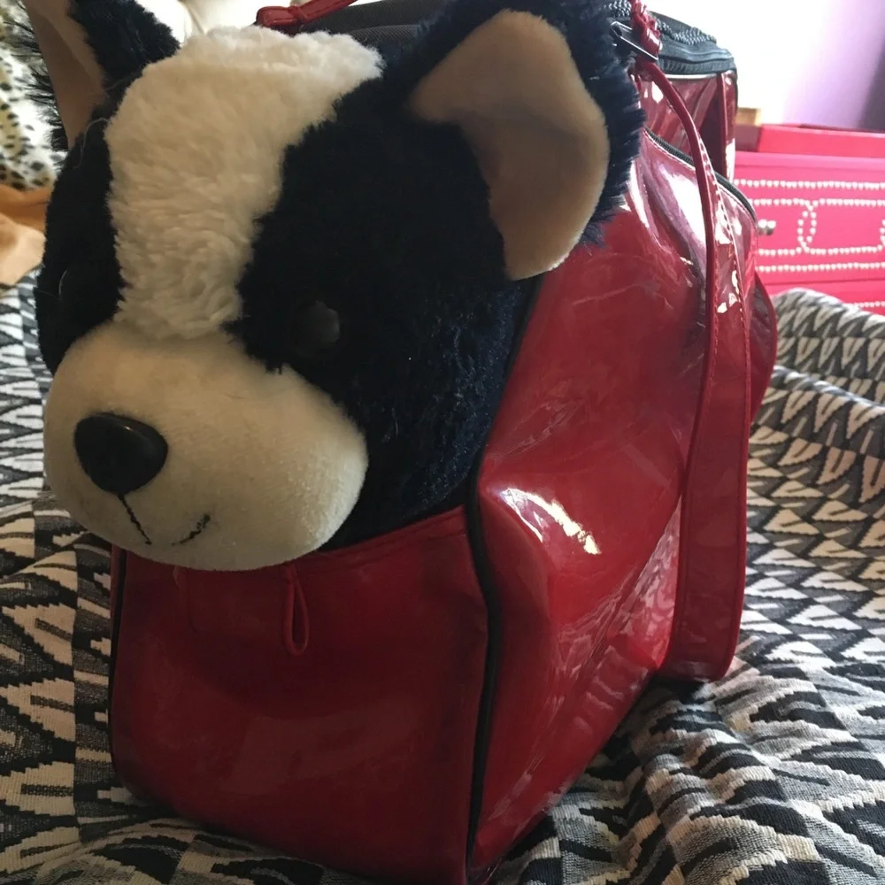 Pet Carry Tote Bag